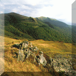 Bieszczady