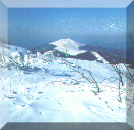 Winter in Bieszczady Mountains